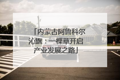 内蒙古阿鲁科尔沁旗：一棵草开启产业发展之路
